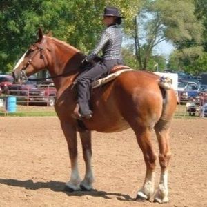 Meet your Posher, Lena